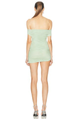 Deniz Mesh Mini Dress